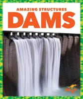 Dams by Pettiford, Rebecca